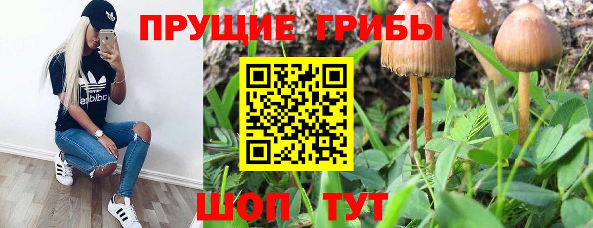 Псилоцибиновые грибы мухоморы Волжский