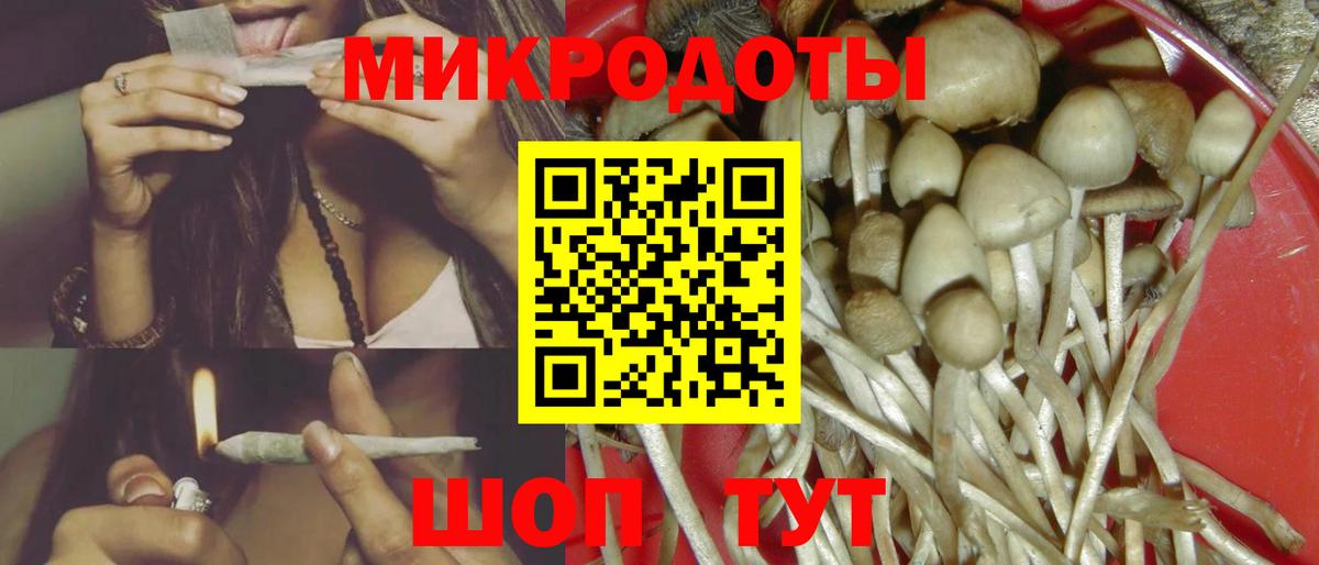 Псилоцибиновые грибы Magic Shrooms  Вход с VPN  Волжский  Псилоцибиновые грибы Psilocybine cubensis 